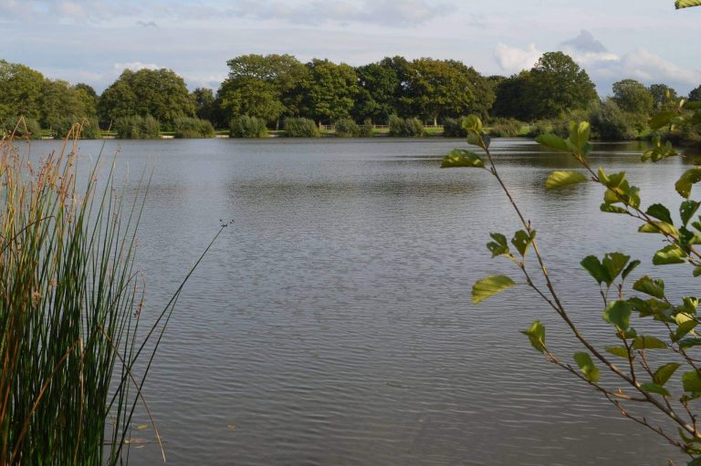 Watmore Farm Fishery