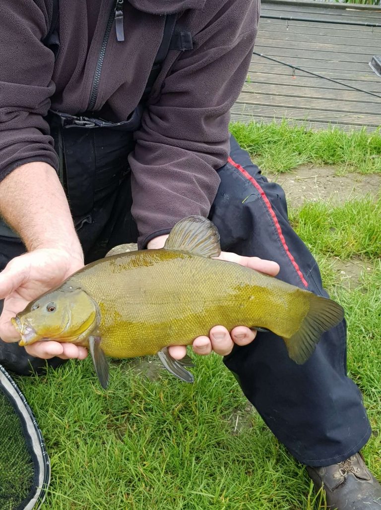 Watmore Farm Fishery